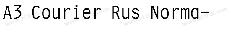 A3 Courier Rus Norma字体转换